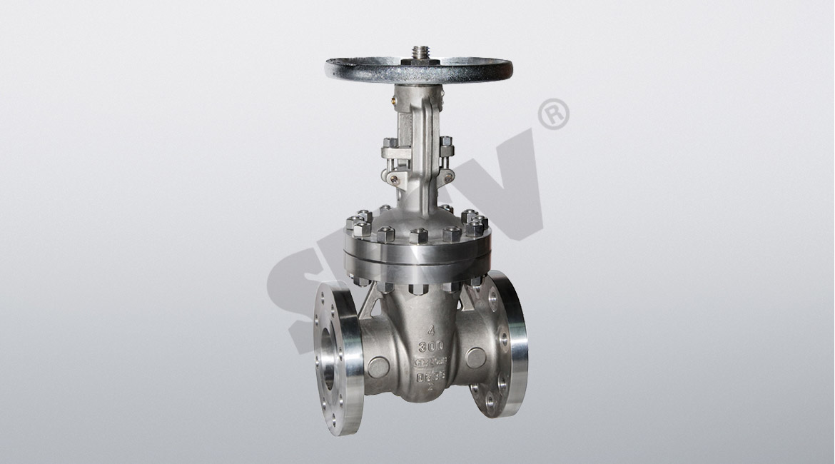Titanium gate valve