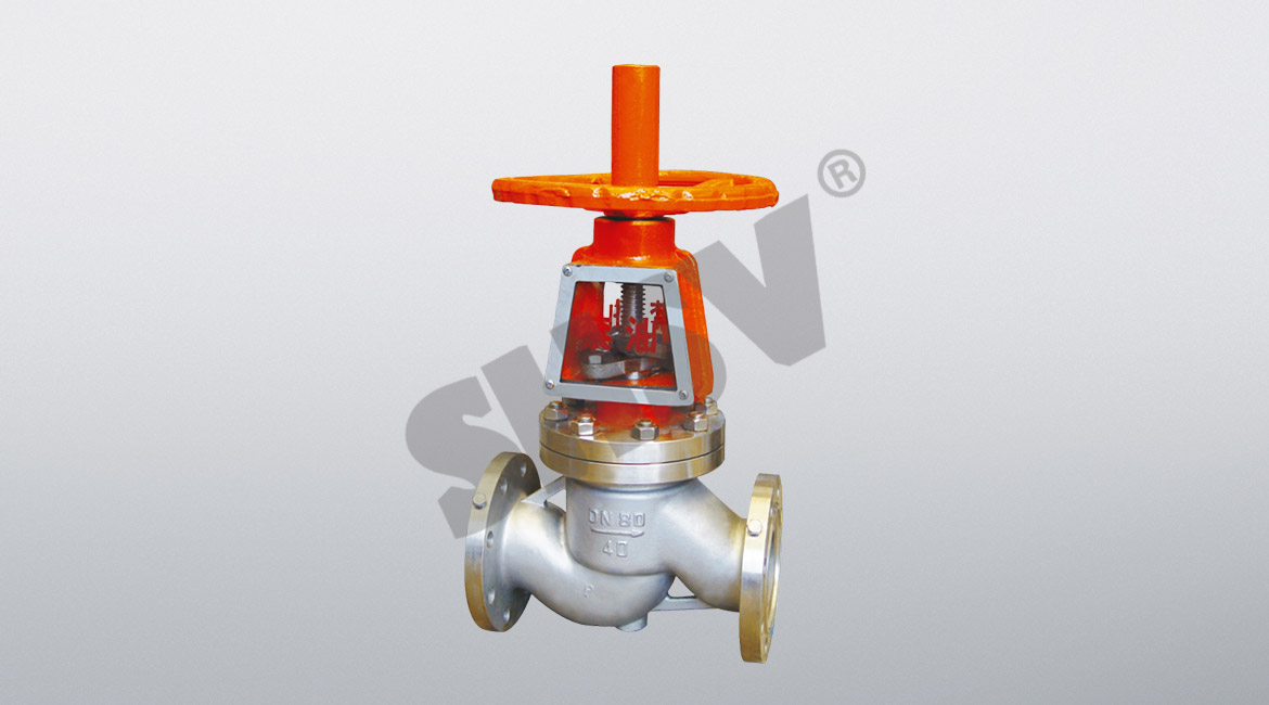 Oxygen special globe valve