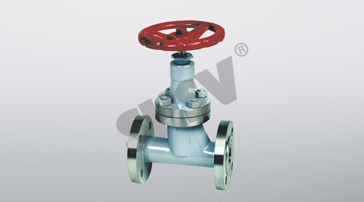 LPG globe valve