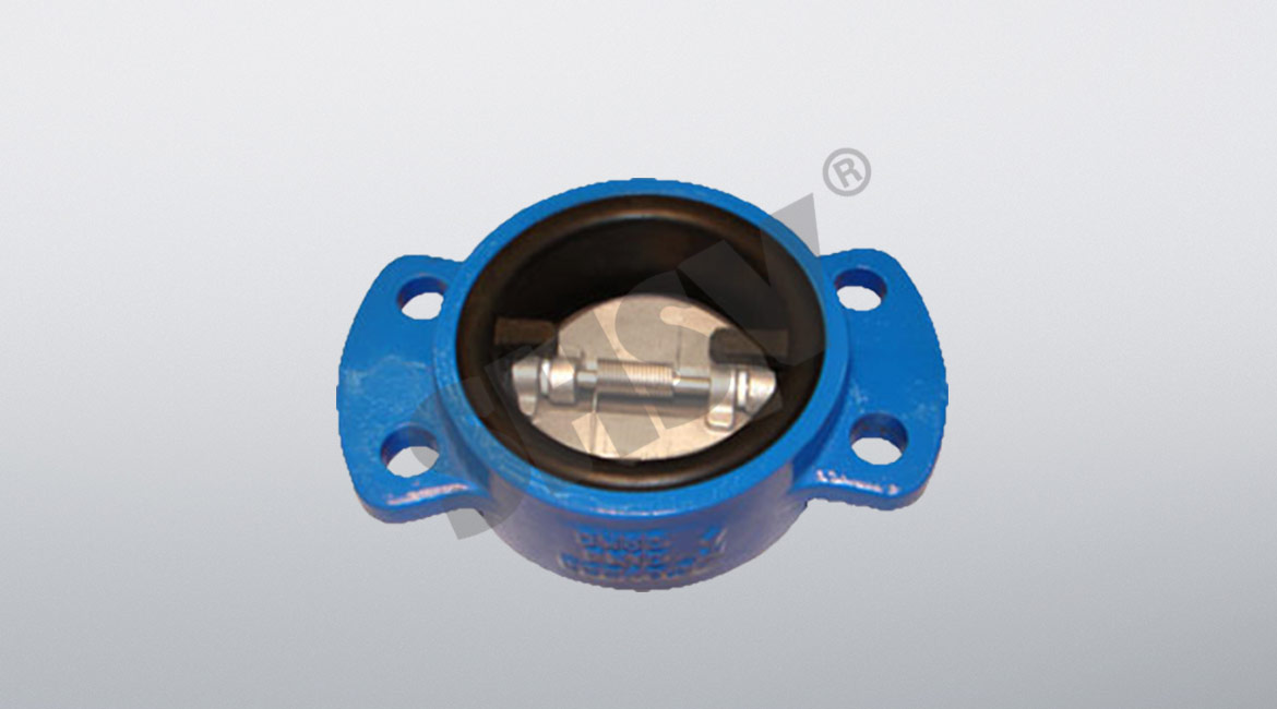 Liner full rubber desulfurization check valve