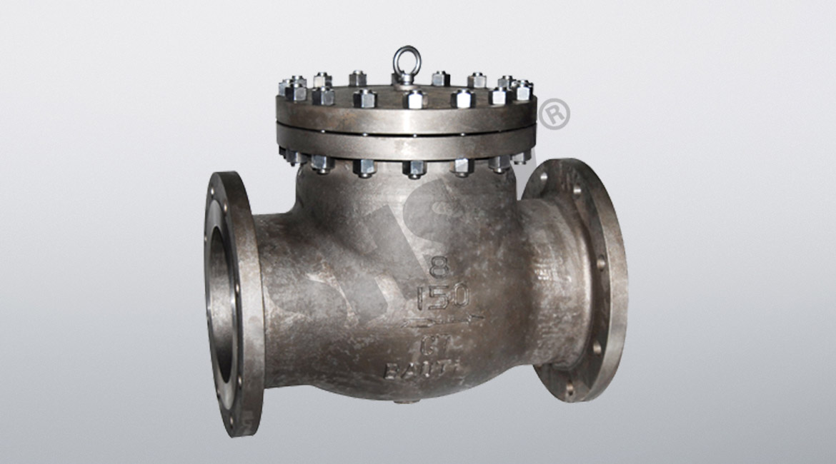 Titanium check valve